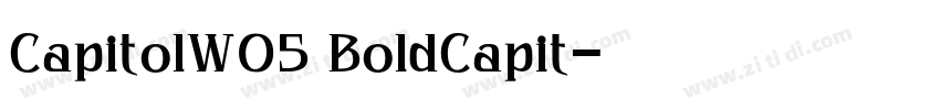 CapitolW05 BoldCapit字体转换